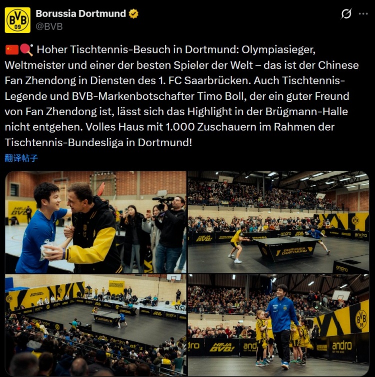 Kaiyun APP-樊振东随队客战多特吸引上千球迷观战，多特死忠波尔也来到现场